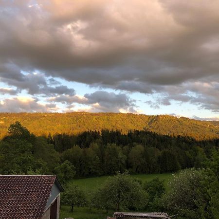 Ferienwohnung Samys Nahe Lindau Am Bodensee 西格马尔斯策尔 外观 照片