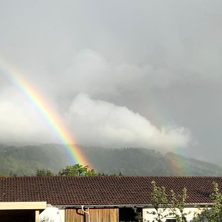 Ferienwohnung Samys Nahe Lindau Am Bodensee 西格马尔斯策尔 外观 照片