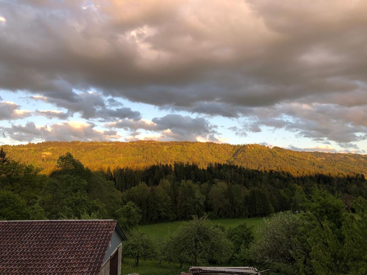 Ferienwohnung Samys Nahe Lindau Am Bodensee 西格马尔斯策尔 外观 照片