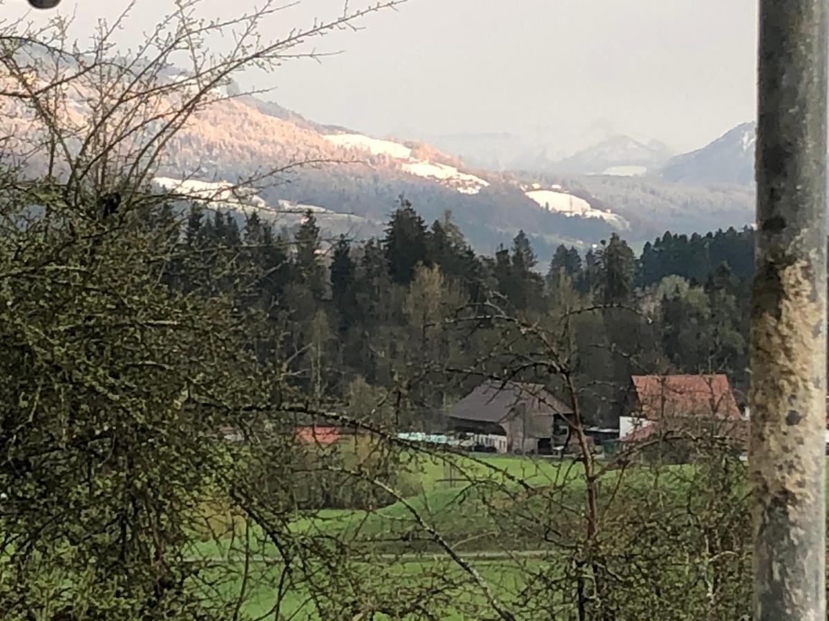 Ferienwohnung Samys Nahe Lindau Am Bodensee 西格马尔斯策尔 外观 照片