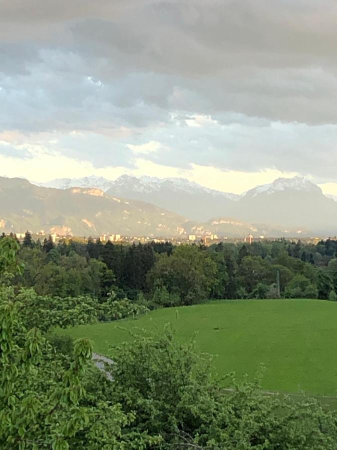 Ferienwohnung Samys Nahe Lindau Am Bodensee 西格马尔斯策尔 外观 照片
