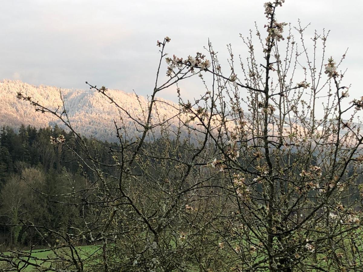 Ferienwohnung Samys Nahe Lindau Am Bodensee 西格马尔斯策尔 外观 照片